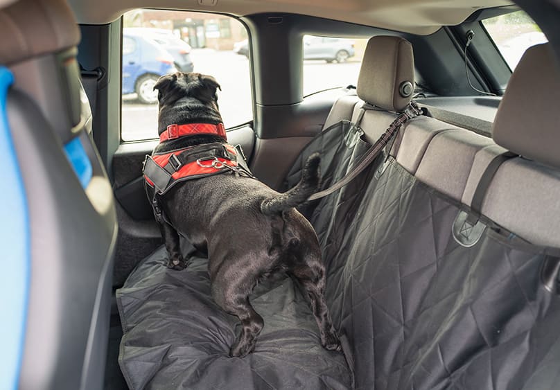 Protector de asientos de vehículos para mascotas